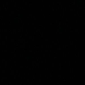 Meet your Posher, Quinton